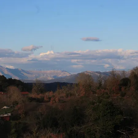 Bistola 4*