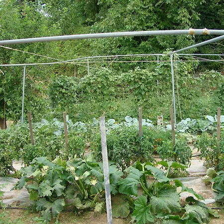 Vendégház Bistola 4*