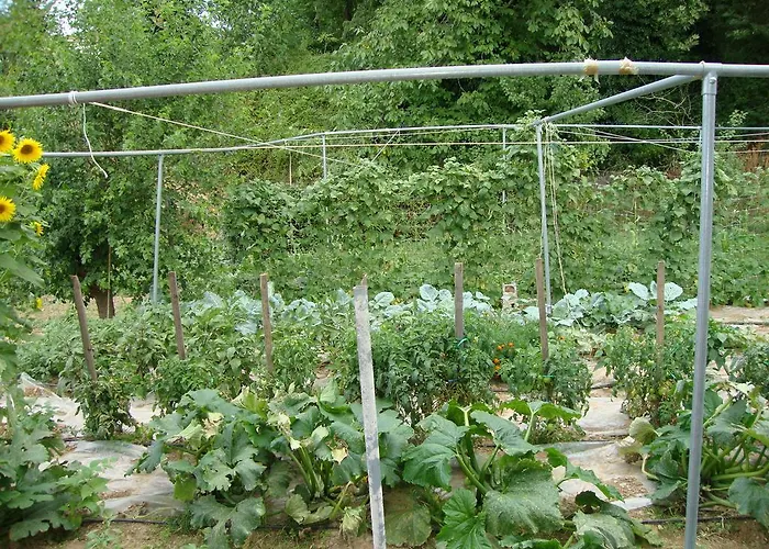 Гостевой дом Bistola 4*